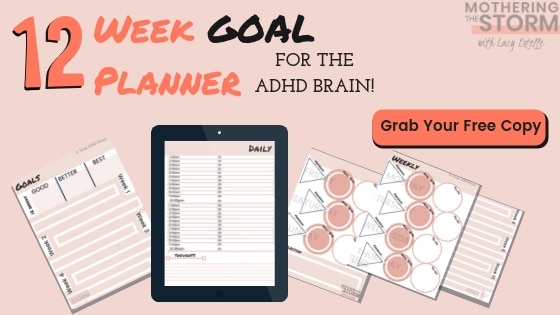 ADHD Goal Planner 12 Week ADHD planner