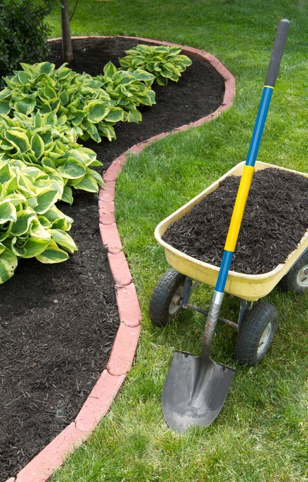 A shovel rests against a yellow wheelbarrow full of black mulch. A flower bed with brick edging is next to the wheelbarrow.